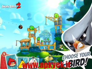 دانلود بازی سری دوم پرندگان خشمگین Angry Birds 2 v2.1.0 اندروید