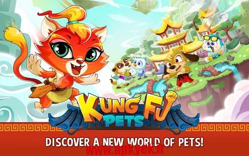 دانلود بازی کونگ فو حیوانات Kung Fu Pets 1.2.10 اندروید
