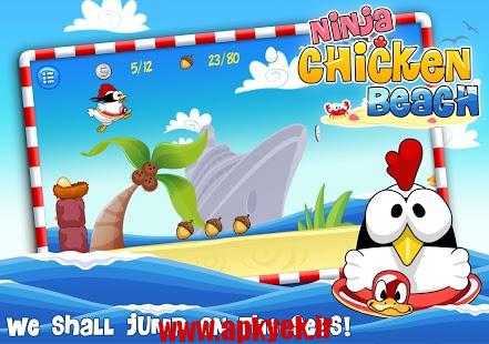 دانلود بازی مرغ نینجا Ninja Chicken Beach v1.0.4 اندروید