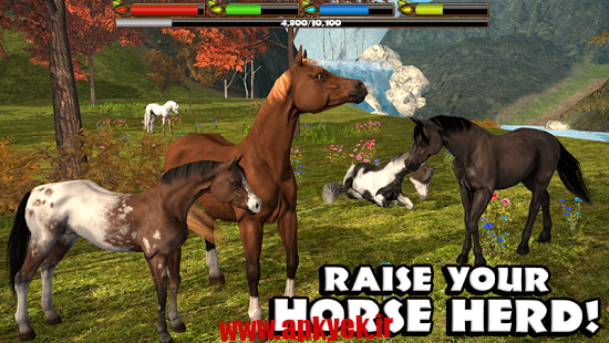 دانلود بازی شبیه‌ سازی اسب Ultimate Horse Simulator 1 اندروید